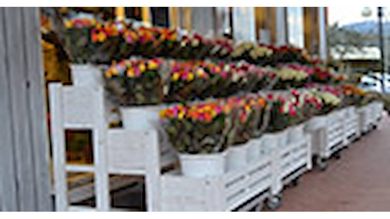 Realización del negocio Flores Flores - Borgo Buggiano