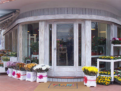 Realización del negocio "Flores Flores" - Borgo Buggiano