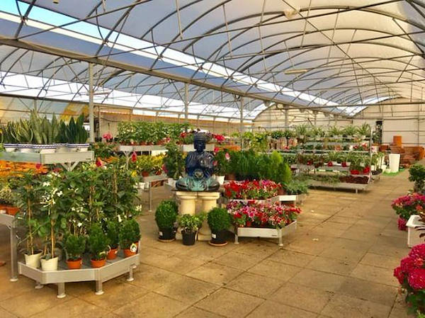 Restyling des Alfa Garden Center in Portugal