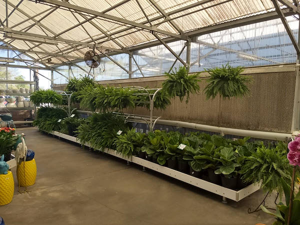 Retail Renaissance: Turner Garden renovates their Greenhouse to drive sales for 2021