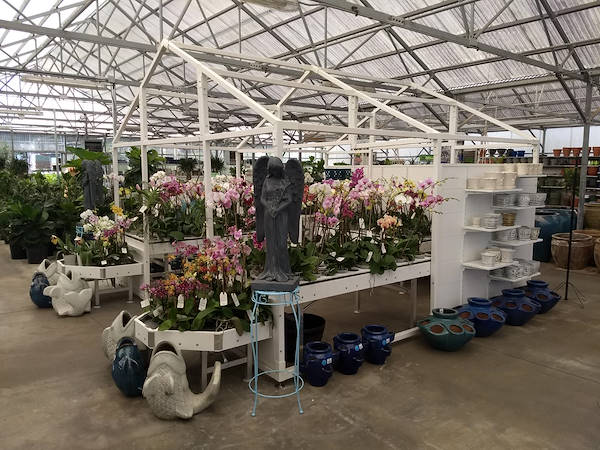 نهضة البيع بالتجزئة: قامت Turner Garden بتجديد Greenhouse لزيادة المبيعات لعام 2021