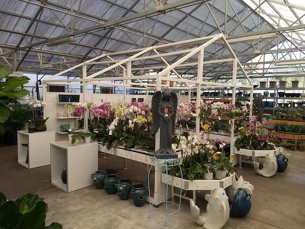 Retail Renaissance: Turner Garden renovates their Greenhouse to drive sales for 2021