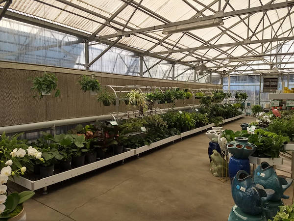 نهضة البيع بالتجزئة: قامت Turner Garden بتجديد Greenhouse لزيادة المبيعات لعام 2021