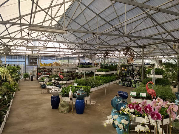 نهضة البيع بالتجزئة: قامت Turner Garden بتجديد Greenhouse لزيادة المبيعات لعام 2021