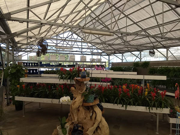 Retail Renaissance: Turner Garden renovates their Greenhouse to drive sales for 2021