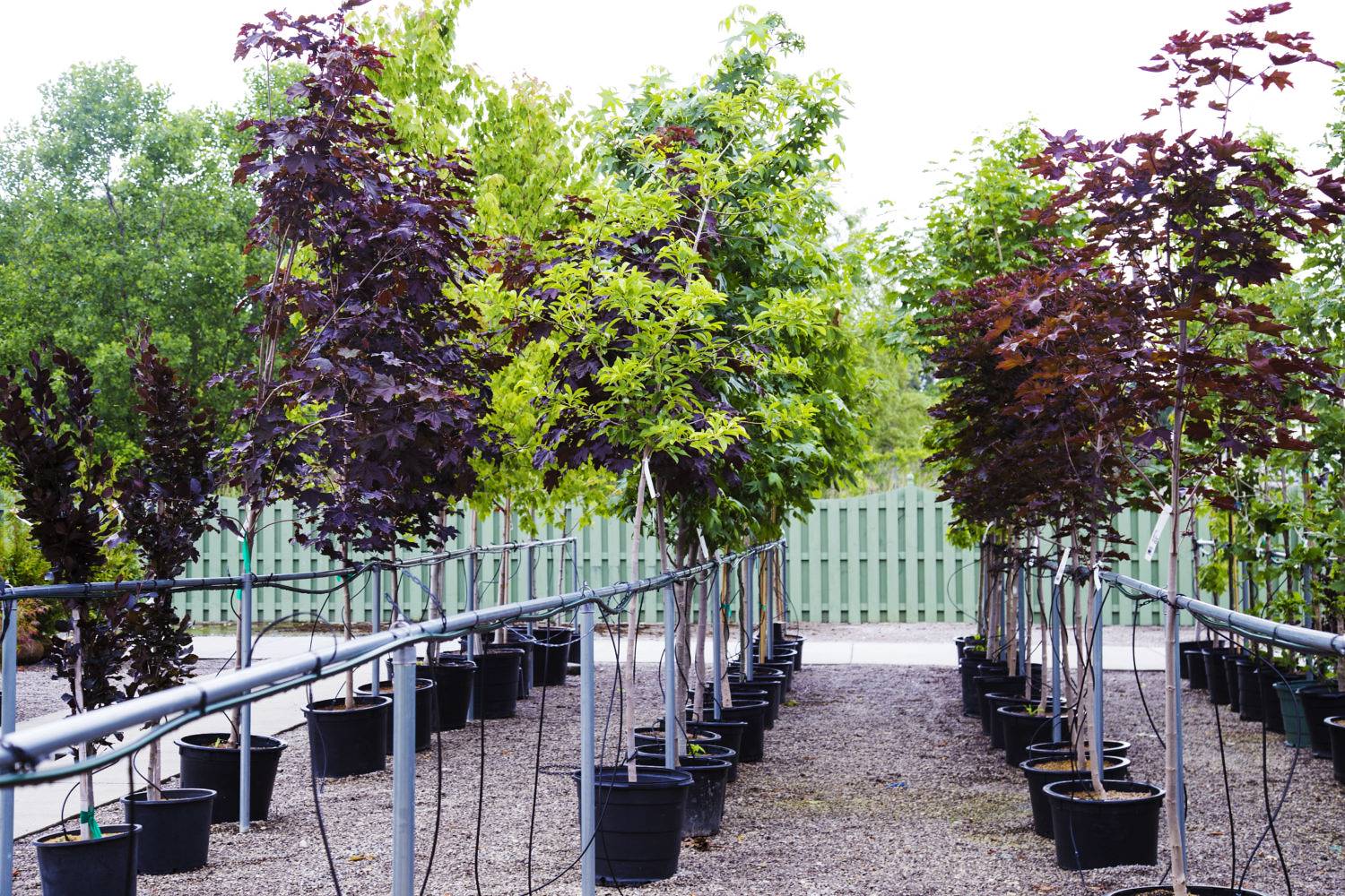 Wiederverwenden, anpassen, recyceln