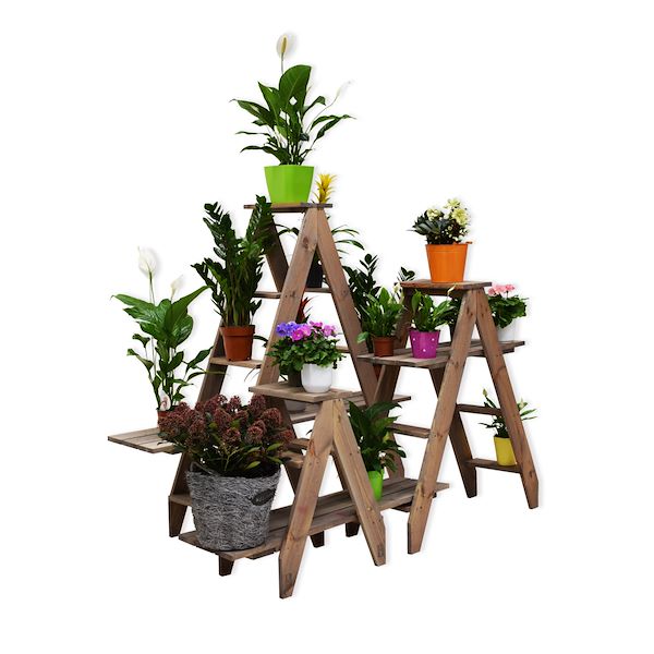 Scale per piante e fiori