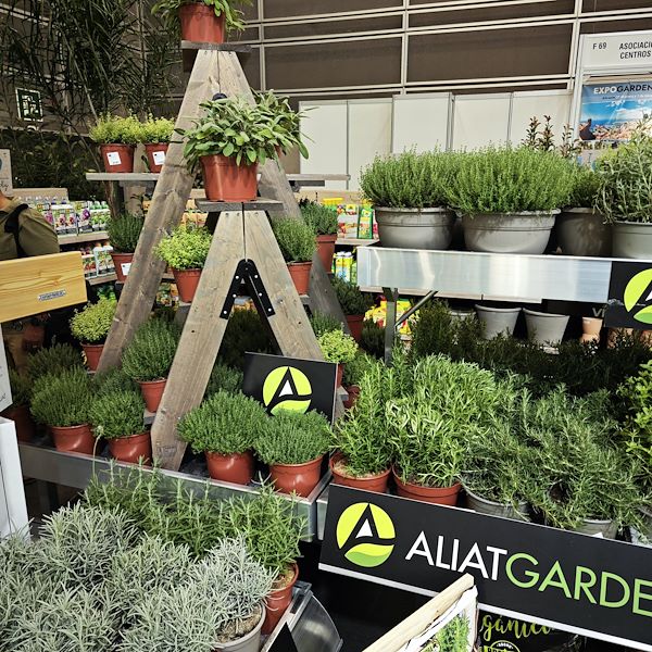 Treppen für Pflanzen und Blumen