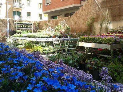 Senape vivaio urbano, die Welt der grünen im Zentrum von Bologna