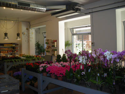 Senape vivaio urbano, die Welt der grünen im Zentrum von Bologna