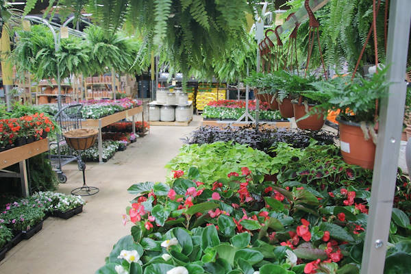 Serie AMOR für die Neugestaltung des Pflanzen- und Blumenbereichs von „Urban Hardware“