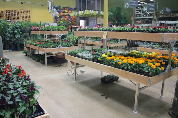 Serie AMOR für die Neugestaltung des Pflanzen- und Blumenbereichs von „Urban Hardware“