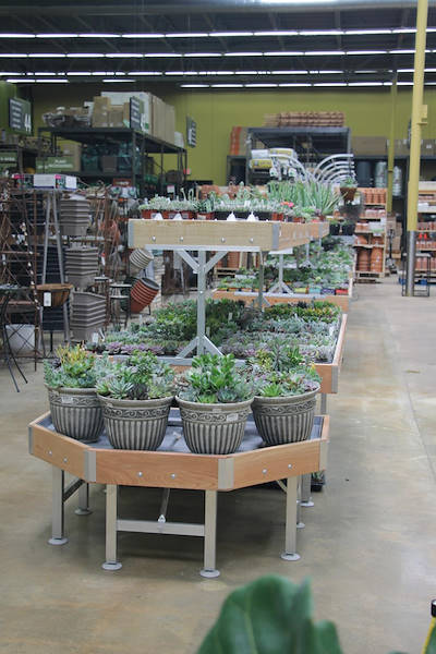 Serie AMOR für die Neugestaltung des Pflanzen- und Blumenbereichs von „Urban Hardware“