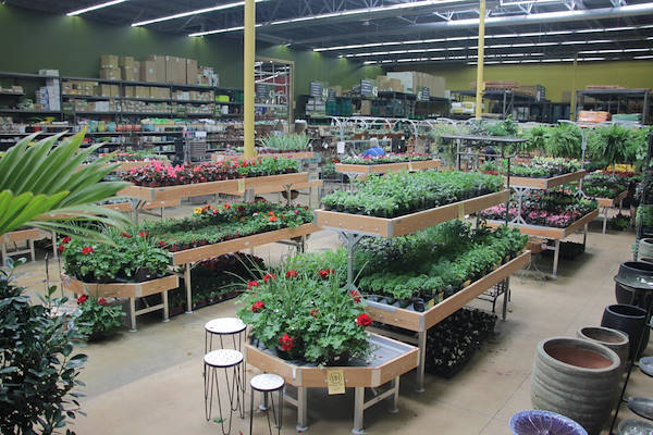 Serie AMOR für die Neugestaltung des Pflanzen- und Blumenbereichs von „Urban Hardware“