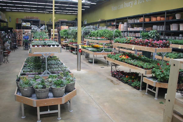 Serie AMOR für die Neugestaltung des Pflanzen- und Blumenbereichs von „Urban Hardware“