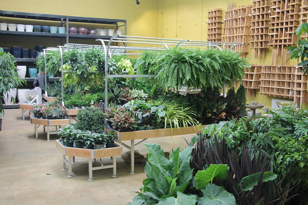 Serie AMOR für die Neugestaltung des Pflanzen- und Blumenbereichs von „Urban Hardware“