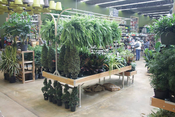 Serie AMOR für die Neugestaltung des Pflanzen- und Blumenbereichs von „Urban Hardware“