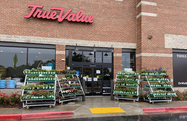 Serie AMOR für die Neugestaltung des Pflanzen- und Blumenbereichs von „Urban Hardware“