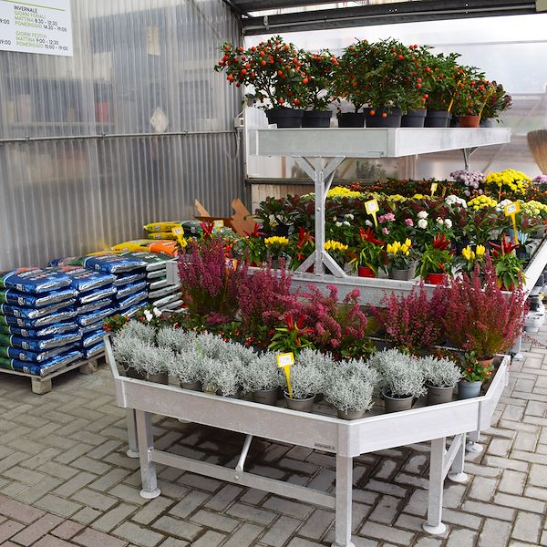 Der neue Look von Garden Frediani