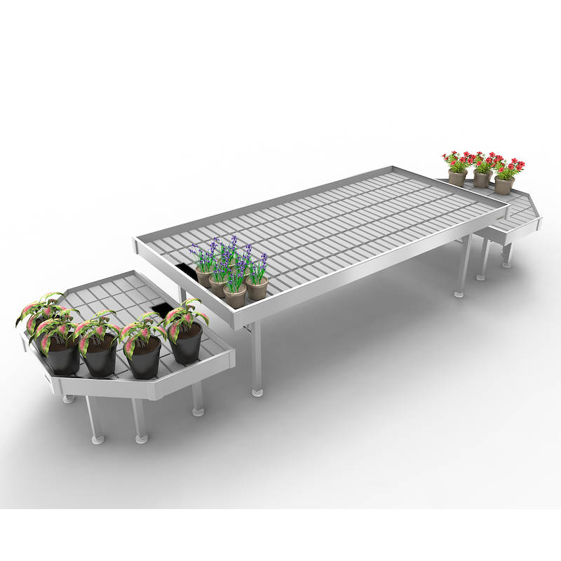 مجموعة الترويج
