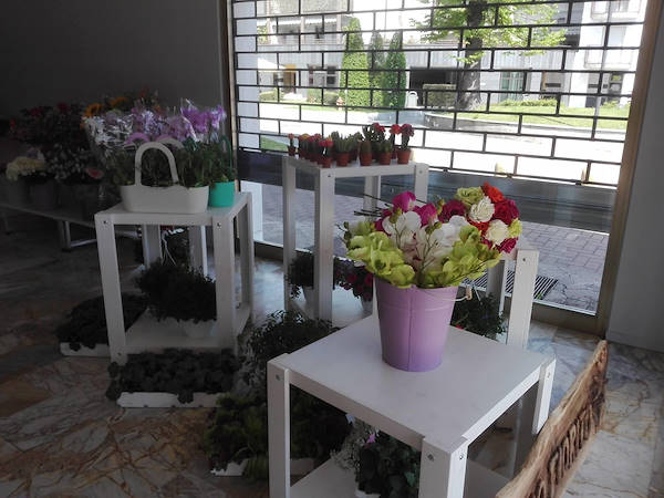 Sogno Fiorito, der neue Blumenladen