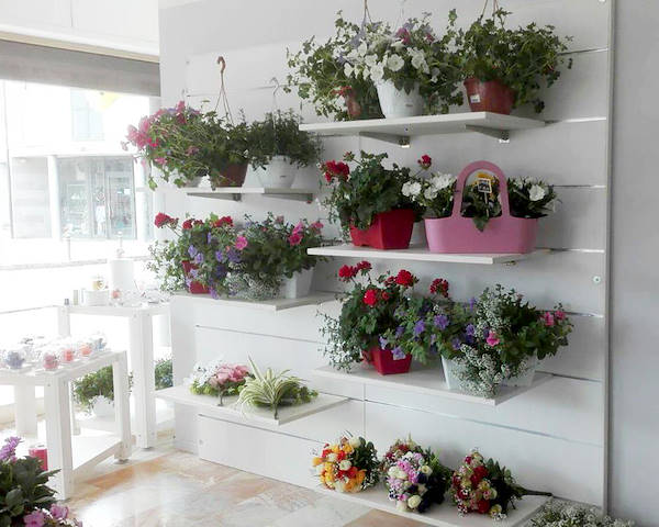 Sogno Fiorito, il nuovo Flower Shop