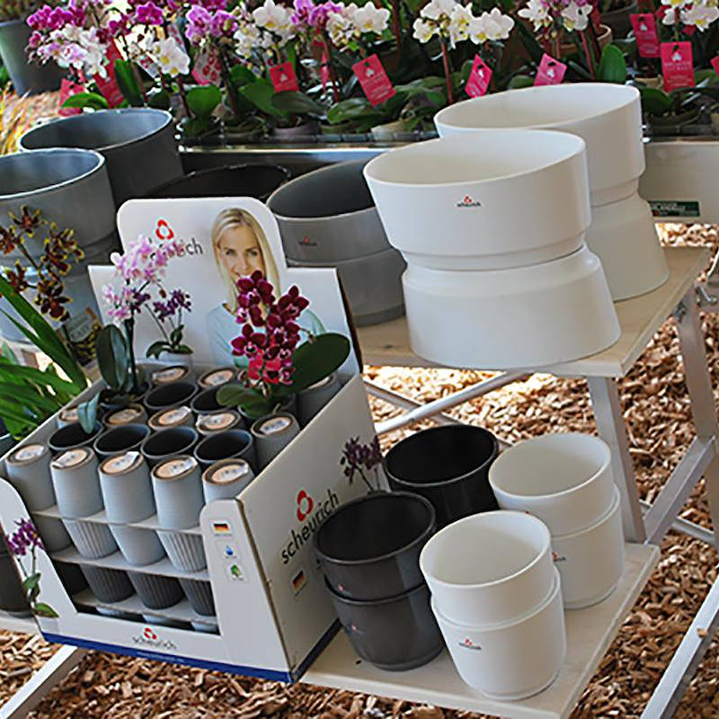 Stufenverkaufstisch mit 2 Ebenen aus Holz