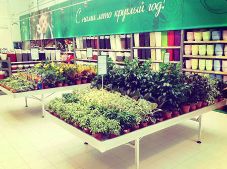 SUN GREEN - Saratov. El segundo Centro de Jardinería de esta cadena en Rusia