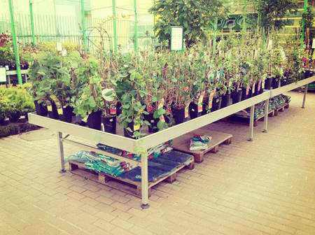 SUN GREEN – Saratov. Le deuxième centre de Jardinage en Russie de cette chaîne de magasins