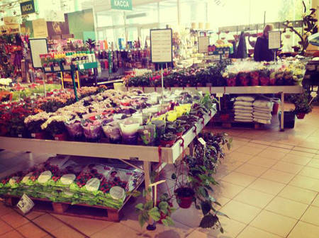 SUN GREEN – Saratov. Le deuxième centre de Jardinage en Russie de cette chaîne de magasins