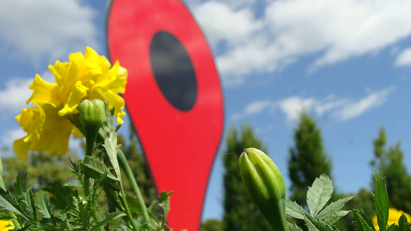 The Google-garden