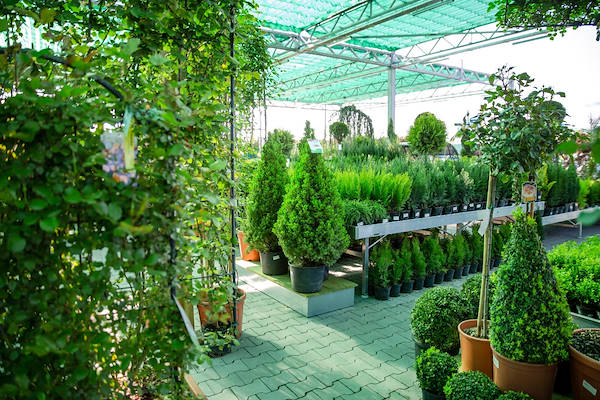 Outdoor