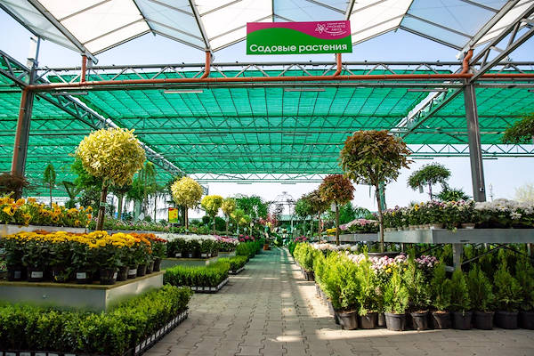 Outdoor