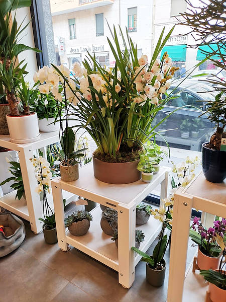 The new look of “Oasi dei Fiori” in Milan is renewed with a young and elegant layout
