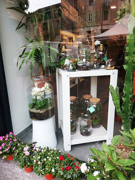 تم تجديد المظهر الجديد لـ Oasi dei Fiori في ميلانو بتصميم شاب وأنيق