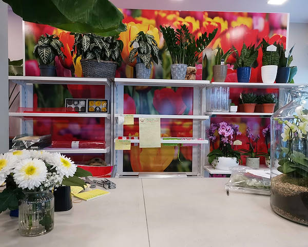 تم تجديد المظهر الجديد لـ Oasi dei Fiori في ميلانو بتصميم شاب وأنيق