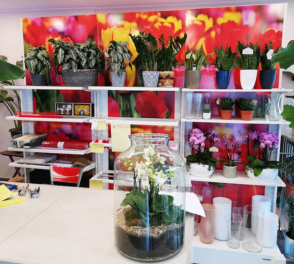 تم تجديد المظهر الجديد لـ Oasi dei Fiori في ميلانو بتصميم شاب وأنيق