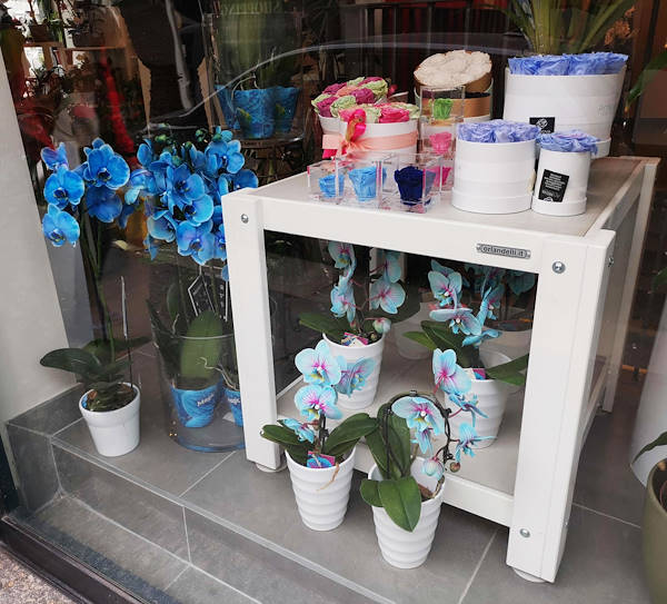 تم تجديد المظهر الجديد لـ Oasi dei Fiori في ميلانو بتصميم شاب وأنيق
