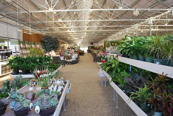 Petitti Garden   مراكز الجديد
