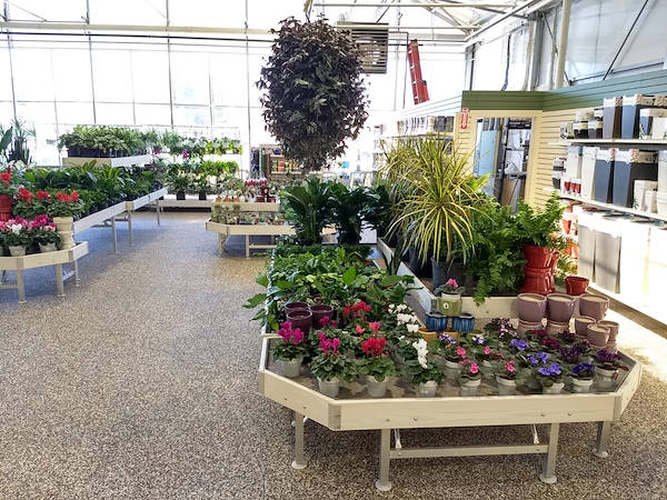 Petitti Garden   مراكز الجديد