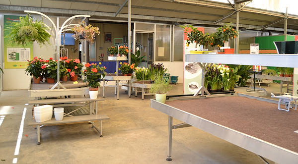 Ti apettiamo presso il nostro nuovo showroom!