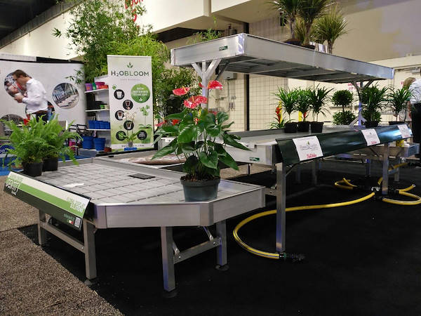 (TPIE) Tropical Plant Industry Exhibition 2017