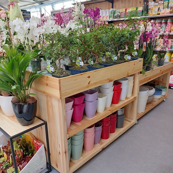 The opening - The Garden Center Il Tulipano