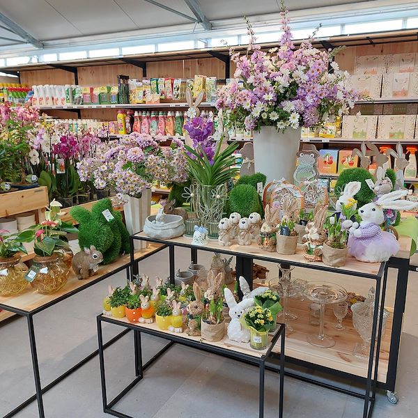 La Inauguración - El Centro de Jardinería Il Tulipano