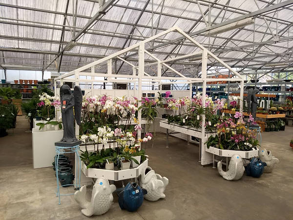 Turner Garden обновляет свой садовый центр для увеличения продаж