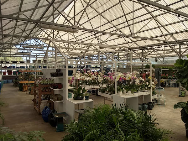Turner Garden обновляет свой садовый центр для увеличения продаж