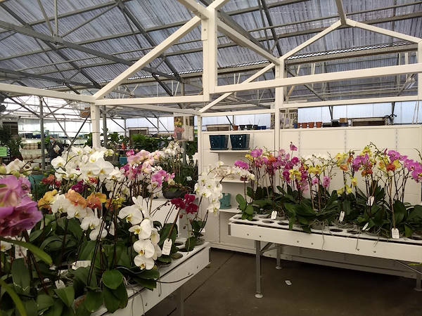 Turner Garden rénove sa Garden Center pour augmenter ses ventes