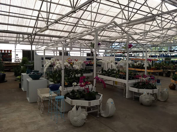 Turner Garden renueva su Garden Center para aumentar las ventas
