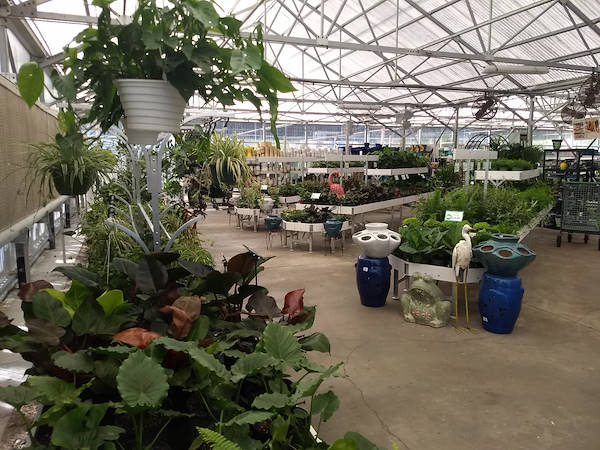 Turner Garden rinnova il suo Garden Center per aumentare le vendite