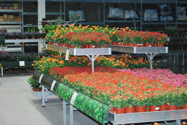 Galería Home Depot Messico